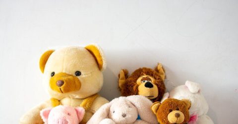 Anthropic Co-Founder Daniela Amodei Kept ‘Personal Advisory Council’ of Stuffed Animals to Solve Problems