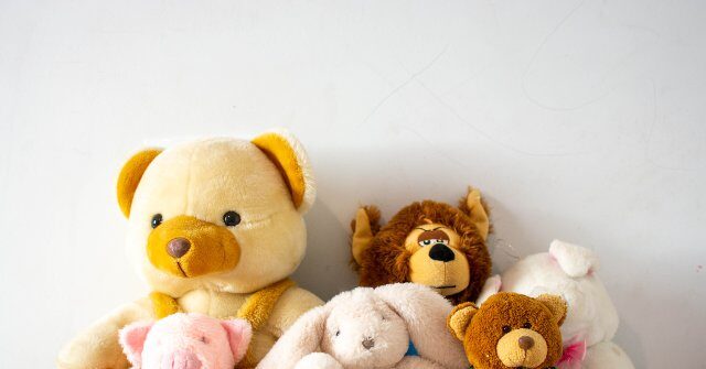 Anthropic Co-Founder Daniela Amodei Kept ‘Personal Advisory Council’ of Stuffed Animals to Solve Problems