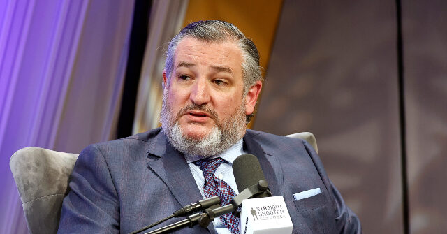 Ted Cruz: If Rep. Ilhan Omar Married Her Brother, She Broke State and Federal Laws