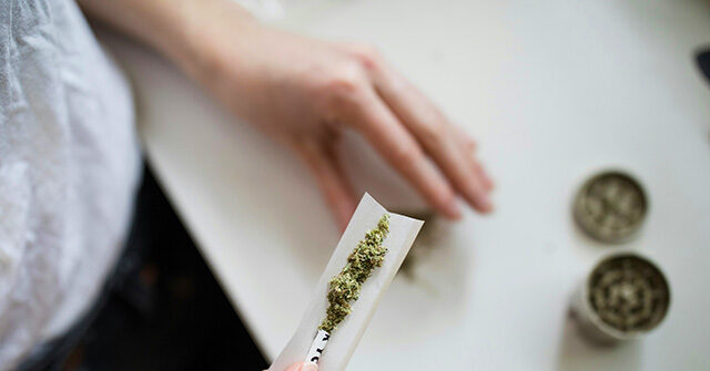 Trump Admin Considers Reclassifying Cannabis as a Less Dangerous Drug