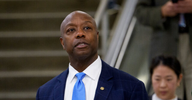 Exclusive — Sen. Tim Scott: Trump, Republicans Focusing on Affordability; Democrats ‘Trying to Put Coal in America’s Stockings’