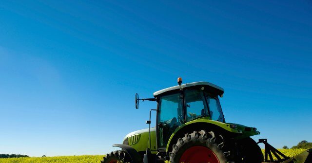 ‘Kick Rocks’: Kentucky Mother and Daughter Refuse $26 Million Offer for Family Farm from AI Data Center Developer