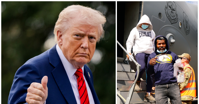 ‘Record-Breaking Statistics:’ Over Half a Million Illegal Aliens Deported Since Trump Took Office