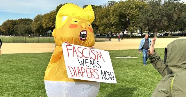 9 Most Ridiculous Displays Seen at the No Kings Protests