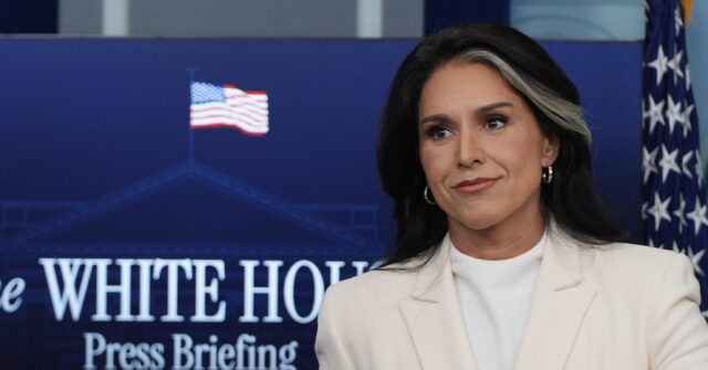 Report: CIA Officials Attempted to Redact Gabbard’s Declassification of Russia Hoax Files