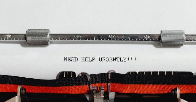 Major Corporations Resume Hiring as AI Limitations Become Apparent