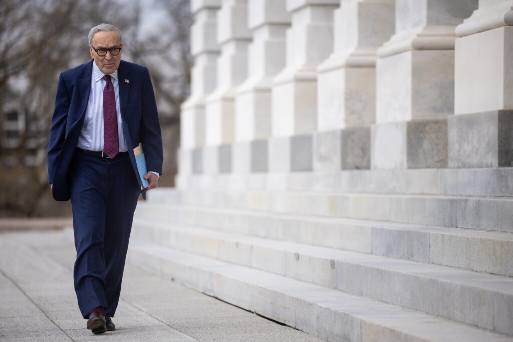 Schumer rolls out Democrats’ midterm energy pitch