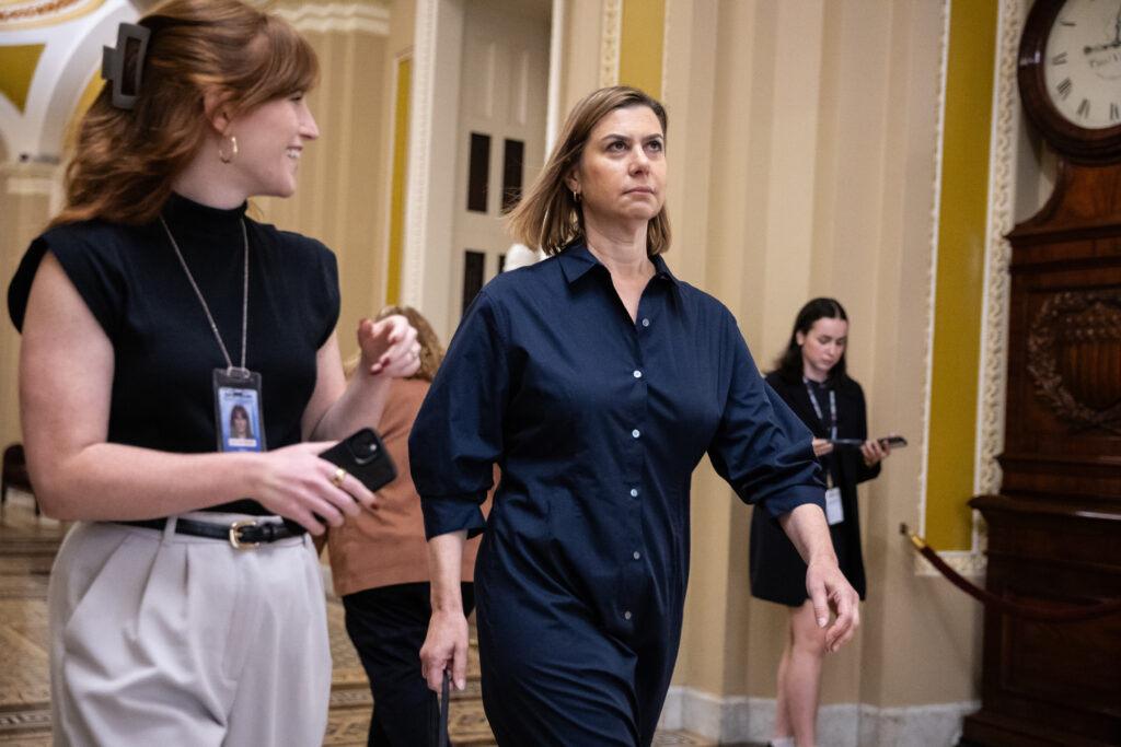 Democrats split over shutdown endgame