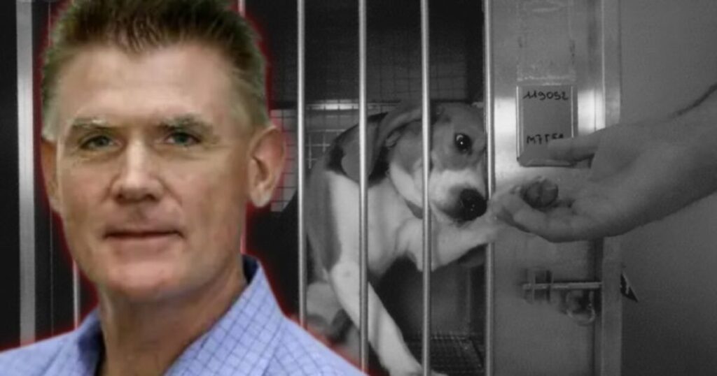 EXCLUSIVE: Federal Complaint Filed After NIH Bureaucrat Attacks Anti-Animal Testing Watchdog Group White Coat Waste, Goes After Board Members