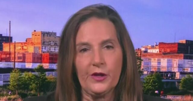 MSNBC’s Vance: Anti-Deportation Protesters Might Exercise ‘Lawful Right’ to Attack ICE