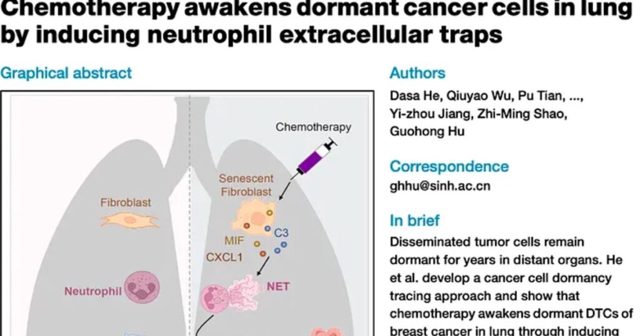 Shocking Study Shows Chemotherapy Reactivates Dormant Cancer Cells – Triggers Metasis