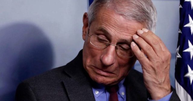 Fauci’s Lawyers Launch Legal Defense Fund as Investigations Against Him Intensify, Attorney General Blanche Calls Senate Findings ‘Extraordinarily Troubling’