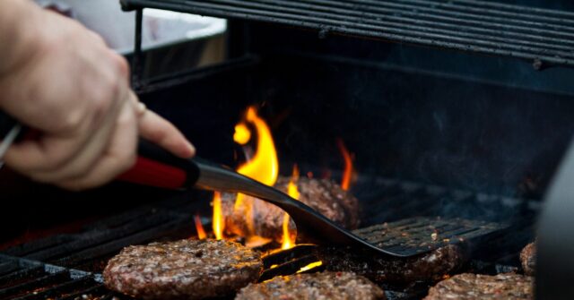 Cooked: EU Parliament Votes to Ban Meat-Free Marketing Terms Like ‘Veggie Burger’