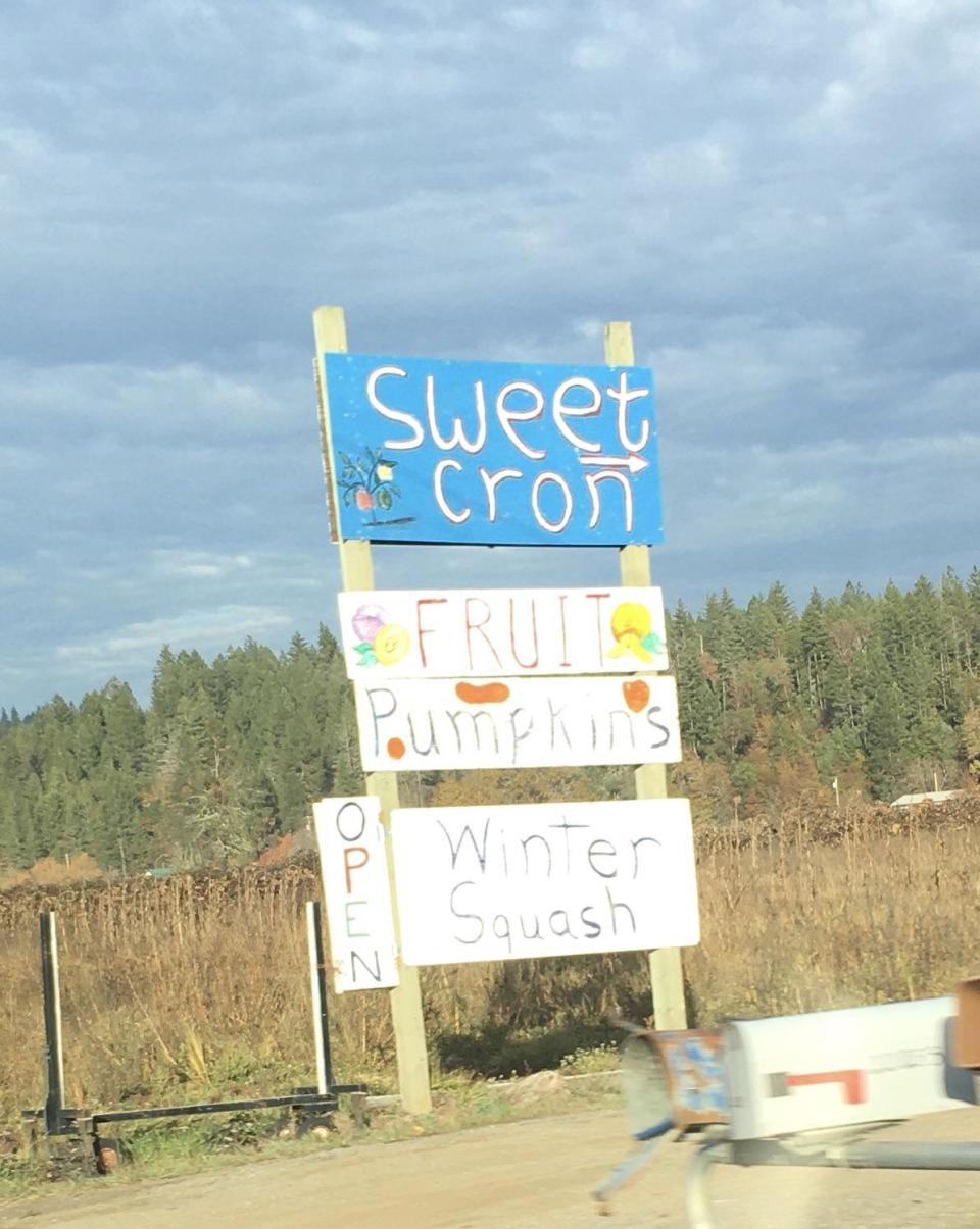 Roadside signs advertising sweet corn, fruit, pumpkins, and winter squash near a rural area