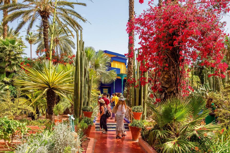 Pathway with colourful flowers, palm trees and cactuses running alongside