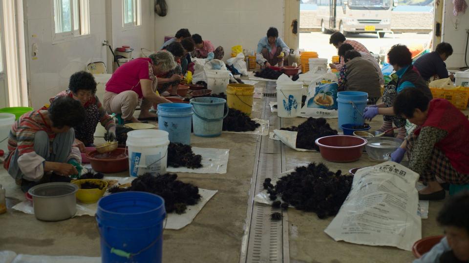 Several haenyeo shelling and preparing seafood they have caught