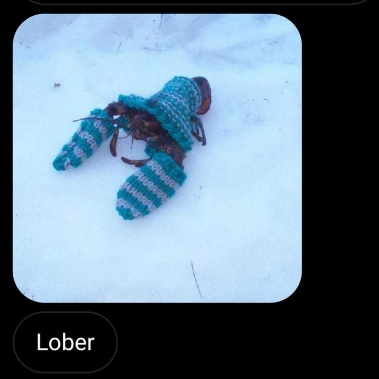 picture of a lobster reading lober