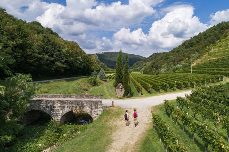 The Collio -  or Goriška Brda - wine-growing region is popular with hikers. Jošt Gantar/www.slovenia.info/dpa