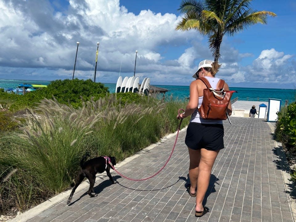 Author Terri Peters walking a potcake puppy in the Caribbean