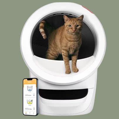 An automatic and self-cleaning litter box