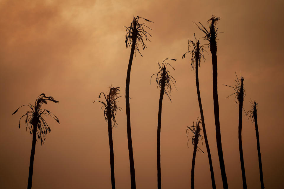 Powerful Winds Fuel Multiple Fires Across Los Angeles Area (Eric Thayer / Getty Images)