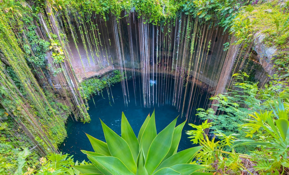 Ik-Kil Cenote - Lovely cenote in Yucatan Peninsulla with transparent waters and hanging roots. Chichen Itza, Mexico