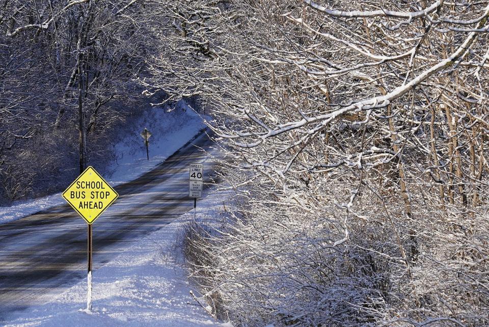 A light snow of a few inches is enough to cover trees along S.E. 53rd St. Friday morning Jan. 10, 2025.