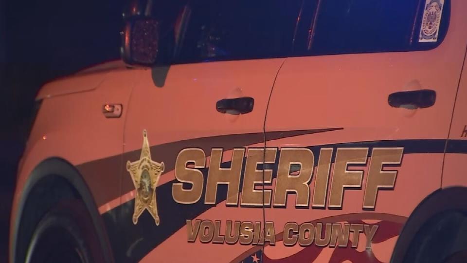 An 8-year-old boy died after 2 dogs attacked him Monday evening near DeLand, Sheriff Mike Chitwood said.