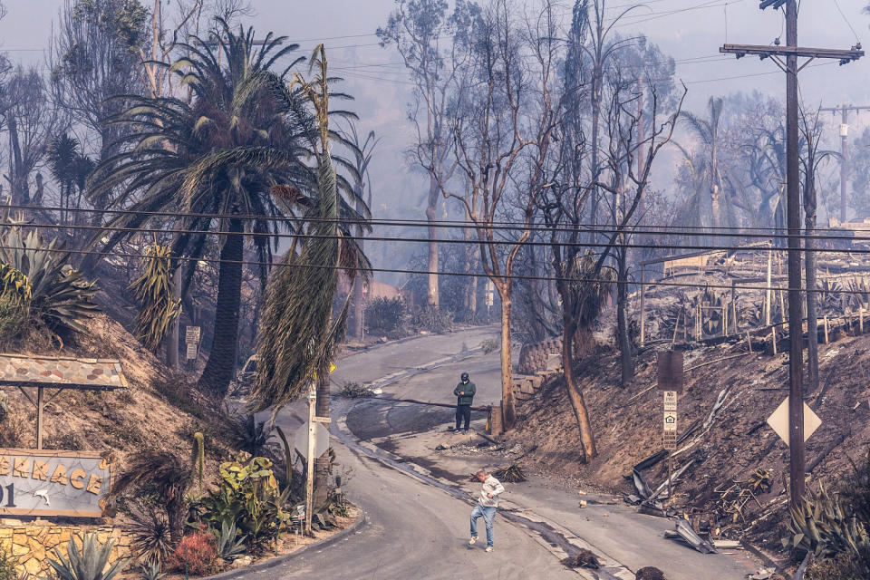 fire in palisades and malibu (Brian van der Brug / Los Angeles Times via Getty Images)