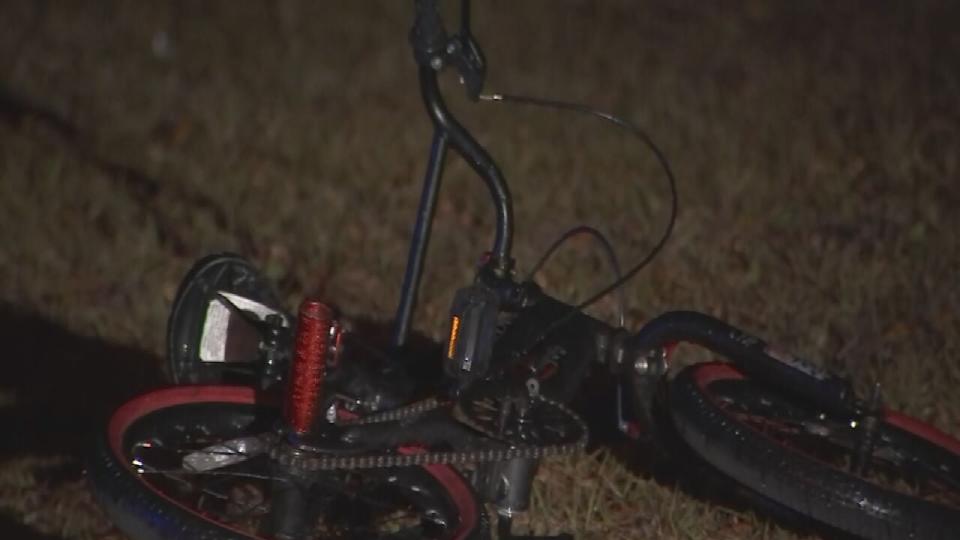 An 8-year-old boy died after 2 dogs attacked him Monday evening near DeLand, Sheriff Mike Chitwood said.