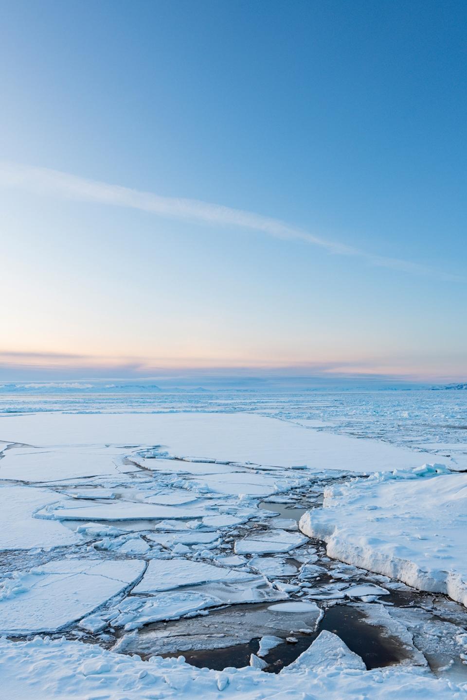 A look out onto the frozen over sea at morning light, with individual snowy ice floats in the foreground.