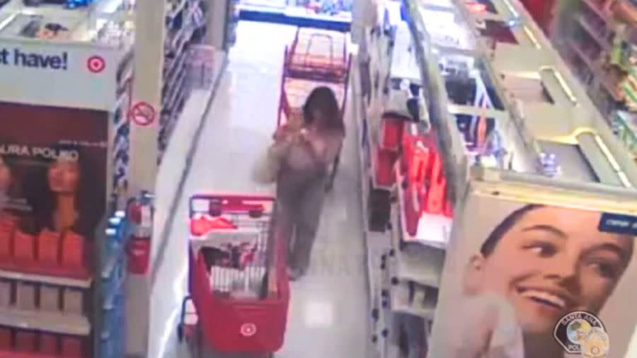 Police are searching for a woman who escaped with hundreds of dollars worth of merchandise from a Target store in Santa Ana in February 2025. (Santa Ana Police Department)