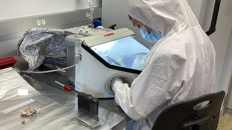 A person works in a lab to analyze archaeological samples