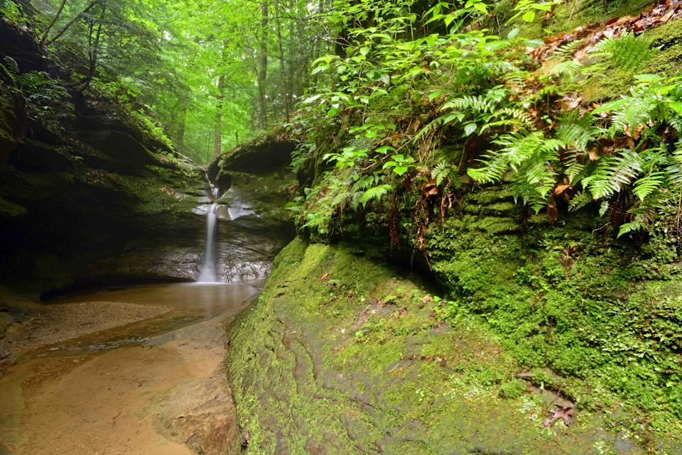 turkey run state park, rocky hollow, trail 3, punch bowl