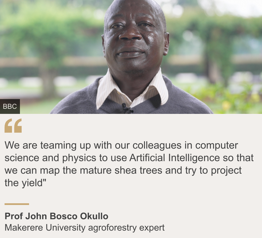 "We are teaming up with our colleagues in computer science and physics to use Artificial Intelligence so that we can map the mature shea trees and try to project the yield"", Source: Prof John Bosco Okullo, Source description: Makerere University agroforestry expert, Image: John Bosco Okullo
