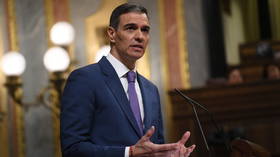 NATO split over 5% spending demand – media