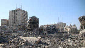 Call to end Gaza war is ‘wrong and dangerous’ – Israeli official