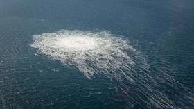 Ukrainian arrested in Italy over Nord Stream sabotage – German prosecutors