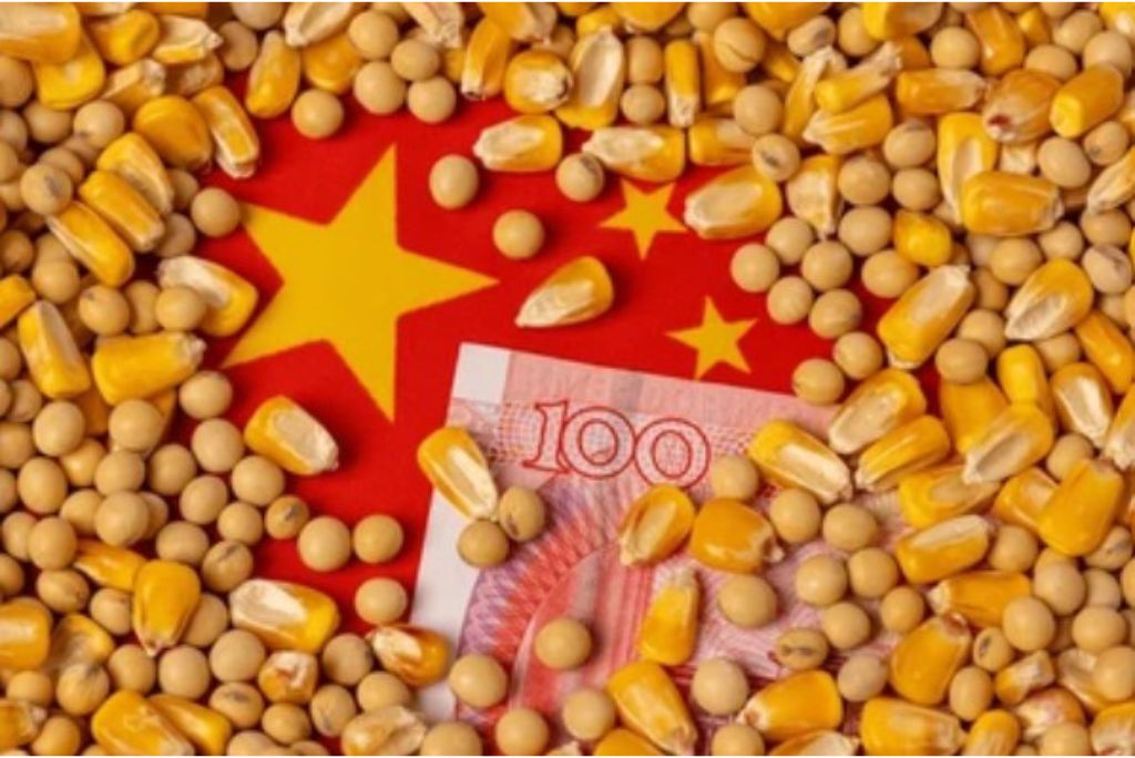 China’s Food Security Strategy and Hispanic-American Agricultural Partnerships.