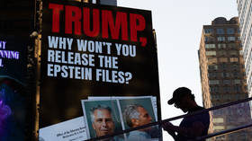 Epstein didn’t kill himself – ex-partner
