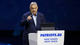 Brussels bureaucrats running around like panicked chickens – Orban