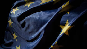 ‘No one’ in EU likes prospect of Trump-Putin summit – FT