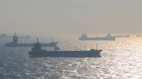 Russian oil product finds unexpected top buyer – NGO