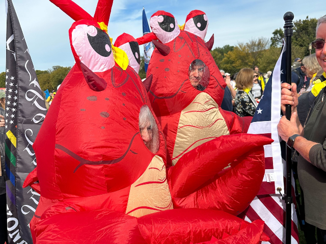 No Kings protest, Washington, DC - Matt Perdie/Breitbart News