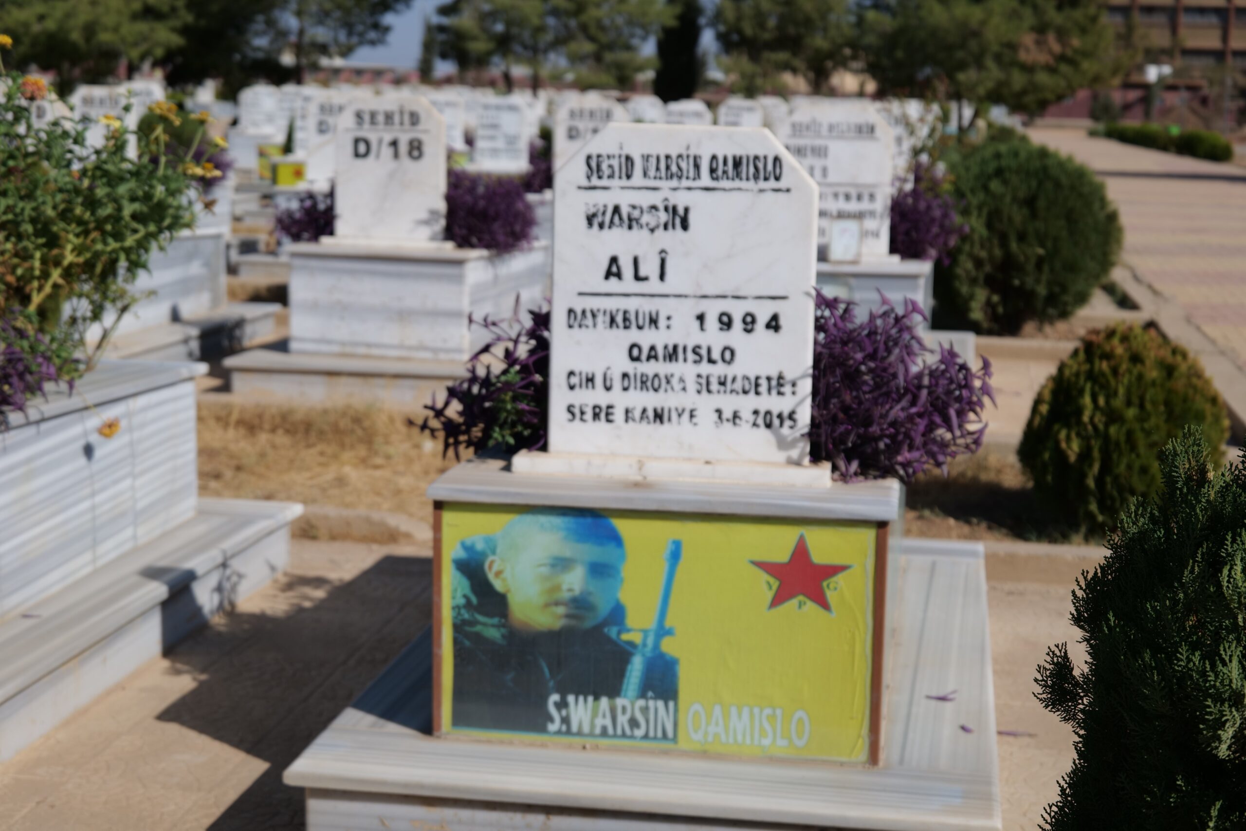 Gravestone of Warsin Ali at a cemetery in Qamishlo, featuring a portrait and details of his birth and death dates.