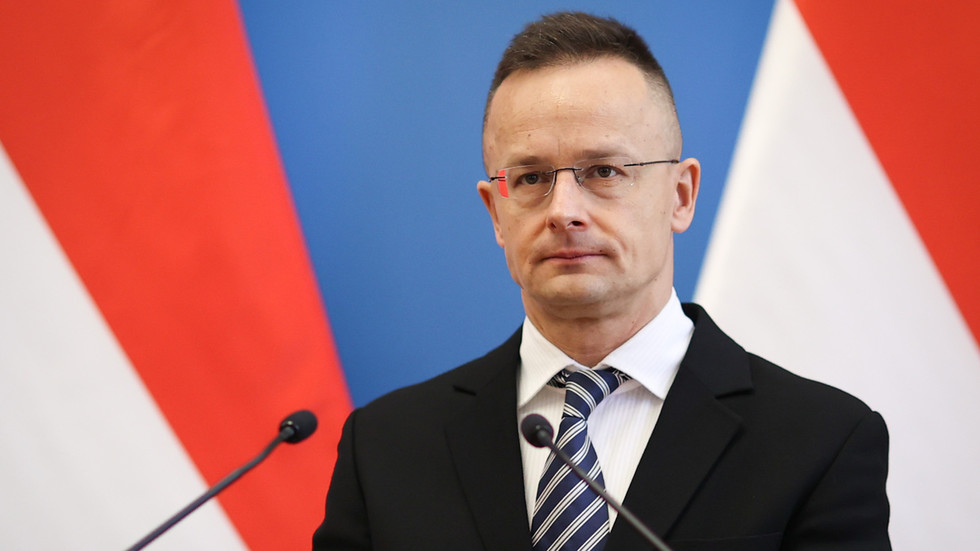 Kiev illegally tried to conscript ethnic Hungarians – Budapest