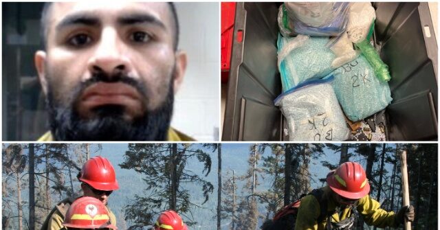 Trump’s DHS Slams The Guardian for ‘Peddling Sob Stories’ About Deported Meth Trafficker