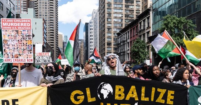 Wikipedia Editors Attack Co-Founder Jimmy Wales Following ‘Gaza Genocide’ Page Criticism