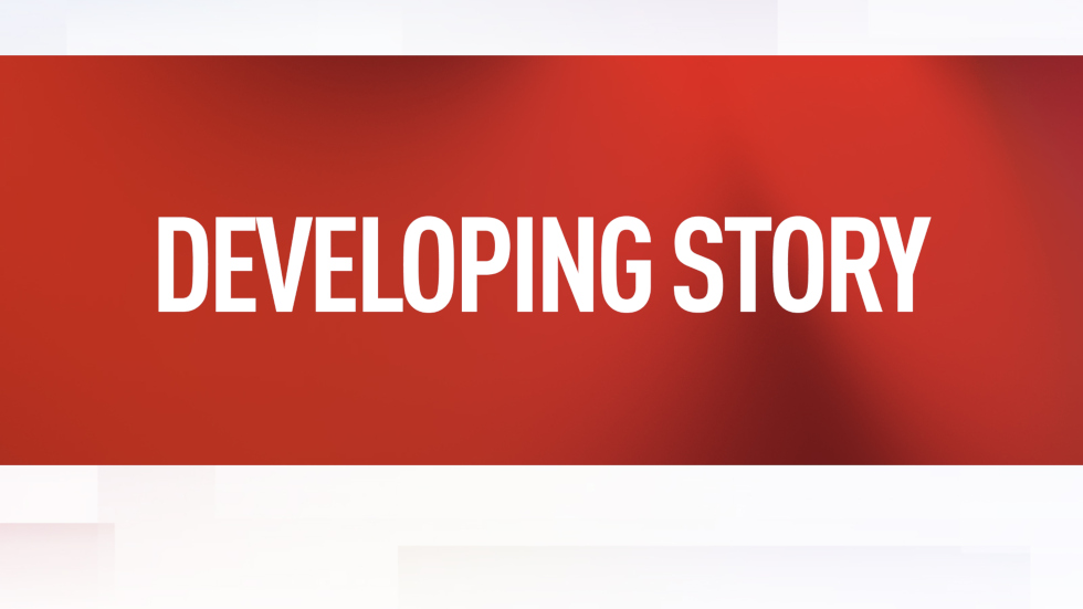 Afghan asylum-seeker named suspect in DC National Guard shooting – media