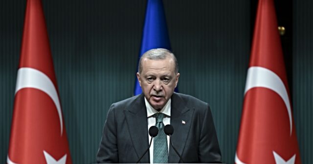 Turkey’s Erdogan Seeks Dominant Role in Ending Ukraine War, Elbowing out Trump and the E.U.